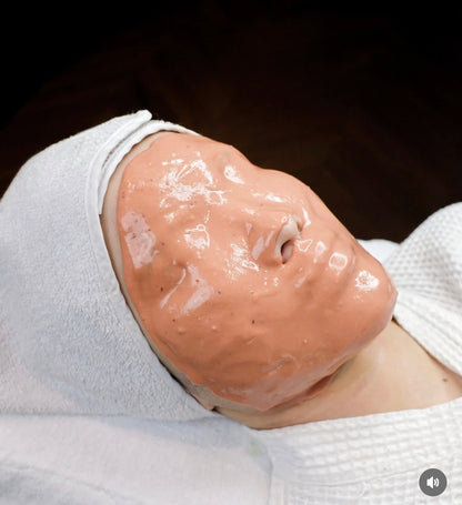 SKINSENSE Acerola Vit-C Premium Soft Powder Mask 500g